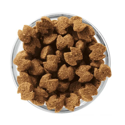 Small Breed Lamb & Rice Dog Food - 15 lb Bag
